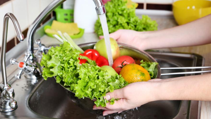 Texto Alternativo: La Comunidad de Madrid estudia el impacto real de las dietas vegetales en la salud intestinal