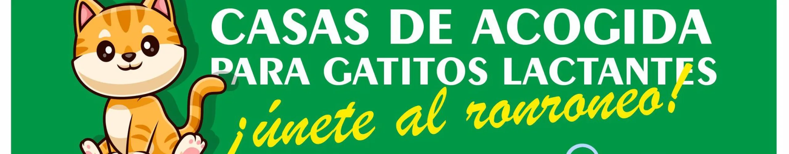 Texto Alternativo: Bienestar Animal lanza la campaña ‘¡Únete al ronroneo!’ para encontrar casas de acogida a gatos lactantes y fomentar la concienciación sobre la adopción