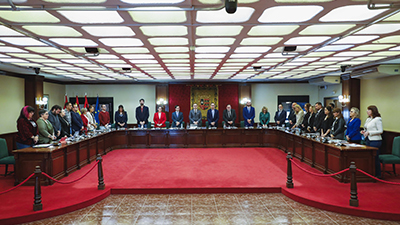 Texto Alternativo: El pleno acuerda una moción conjunta por el Día Nacional de la Convención sobre los Derechos de Personas con Discapacidad