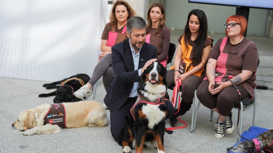 Texto Alternativo: La Comunidad de Madrid aumenta un 25% las asistencias a menores con perros de apoyo en los juzgados