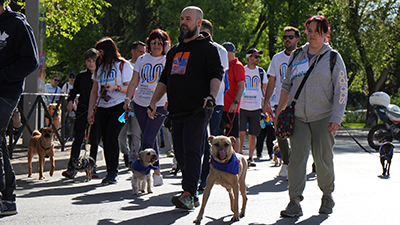 Texto Alternativo: Más de 300 mostoleños, el doble del año pasado, participan en la II Marcha Dog