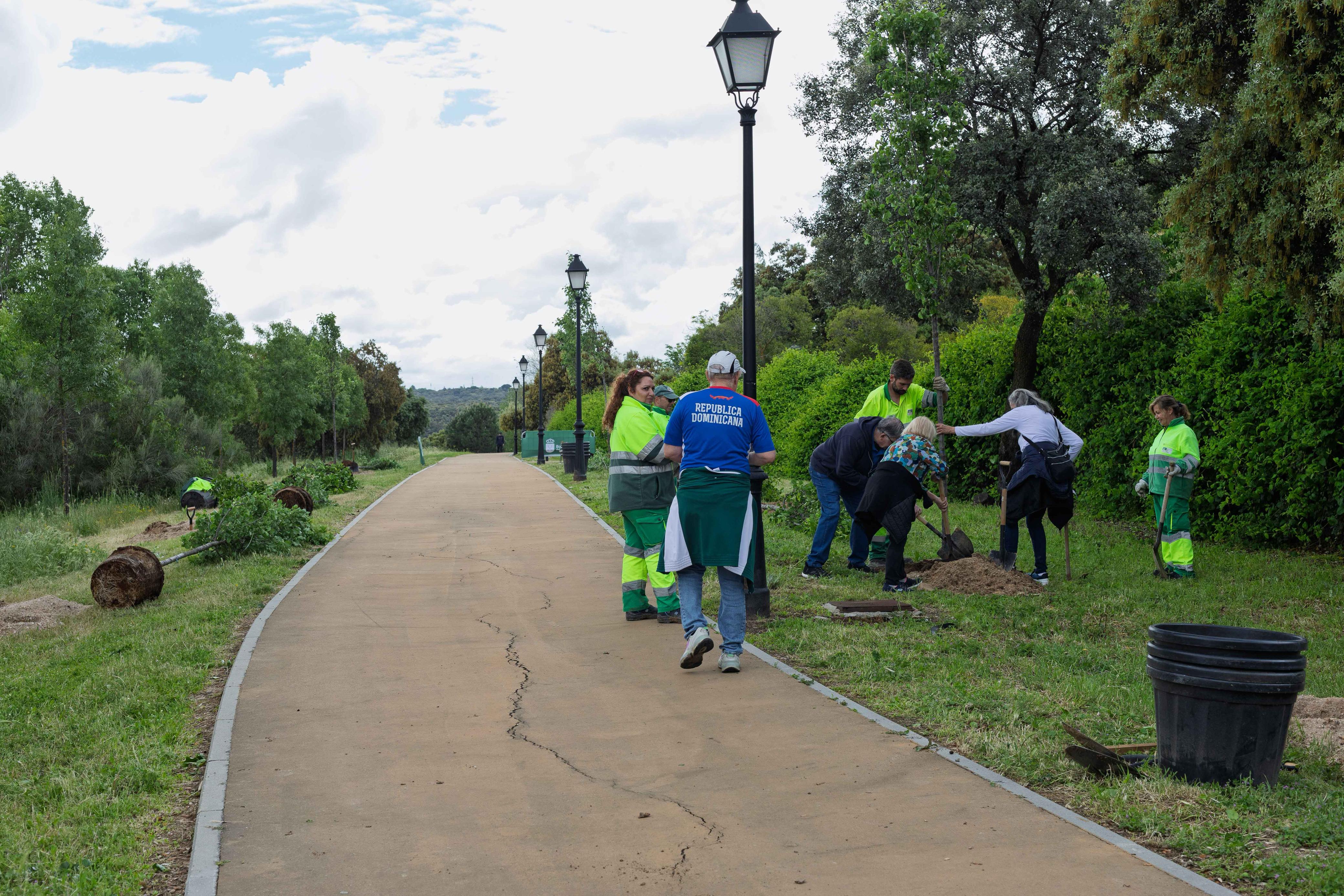 Texto Alternativo: Mayores de Boadilla participan en una plantación de arbolado junto al Parque del Pilar