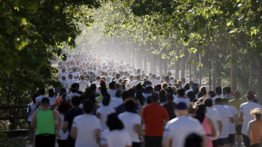 Texto Alternativo: Más de 500 corredores han participado en el II Cross Arco Verde, en el Parque Polvoranca de Leganés