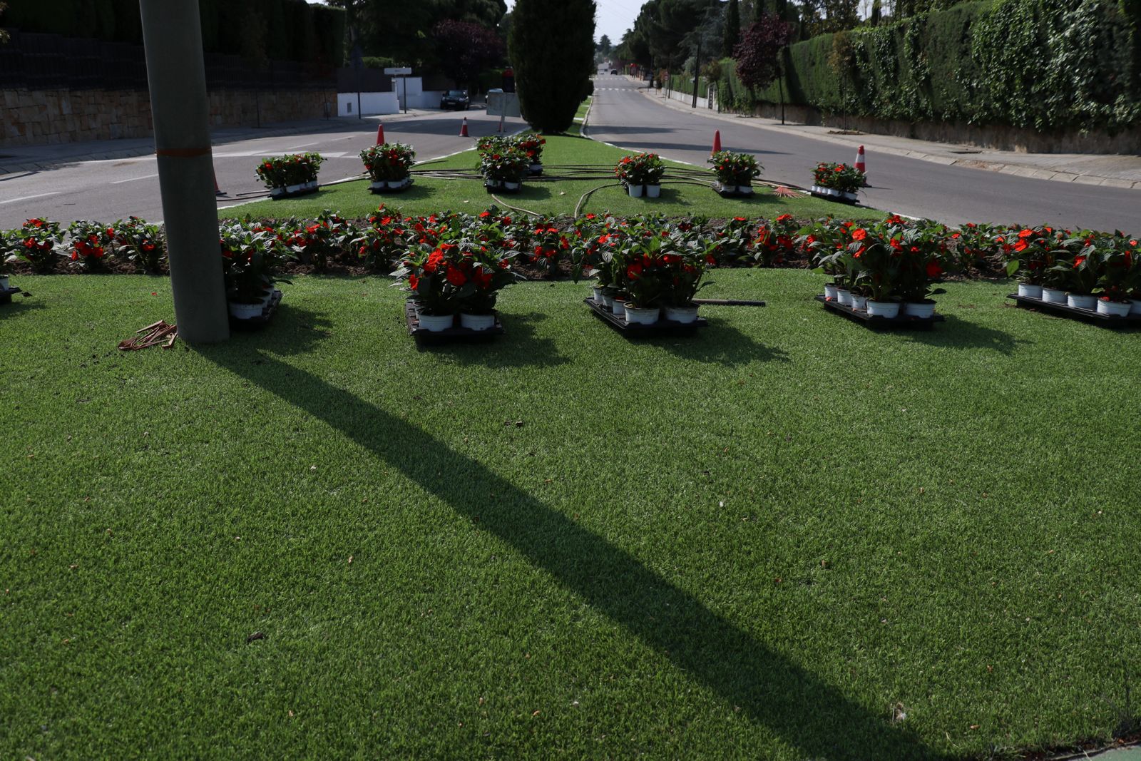 Texto Alternativo: El Ayuntamiento planta más de 20.000 flores de temporada esta primavera