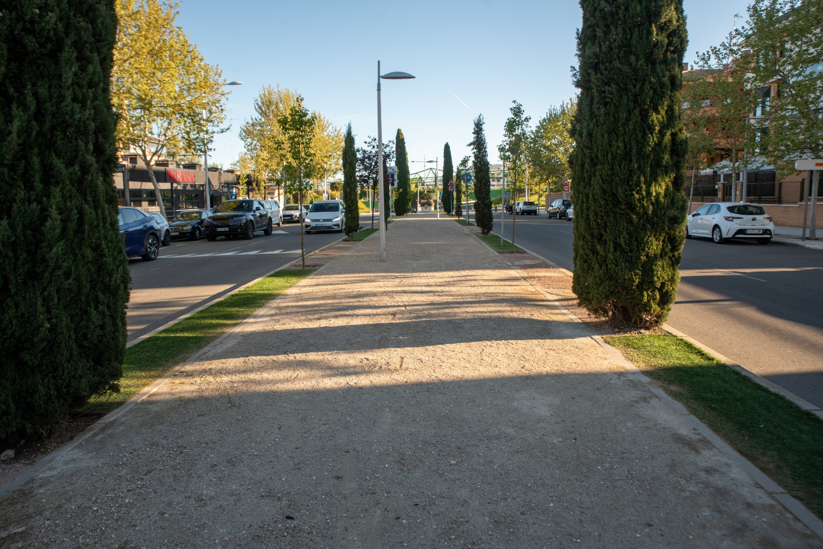 Texto Alternativo: Boadilla ha plantado más de 4600 árboles en todo el municipio en los cuatro últimos años