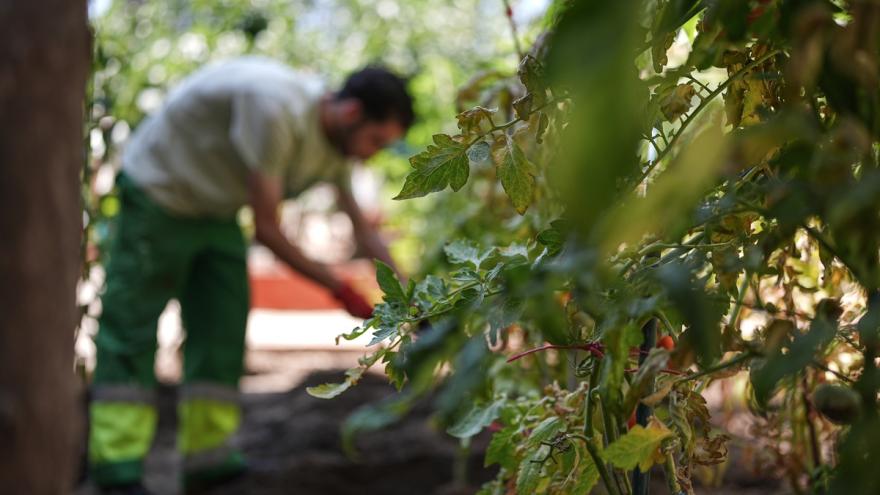 Texto Alternativo: La Comunidad de Madrid invierte 58 millones para la atención integral de menores infractores en dos centros especializados