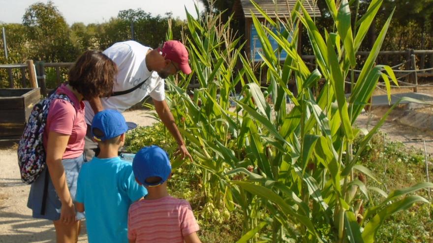 Texto Alternativo: La Comunidad de Madrid forma a 600 alumnos de colegios e institutos sobre la importancia de conservar y proteger la flora autóctona