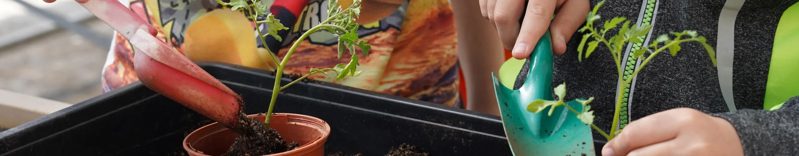Texto Alternativo: Más de 1.900 niños y niñas han participado en las actividades de la campaña de sensibilización del Centro Municipal de Recursos Naturales Quercus