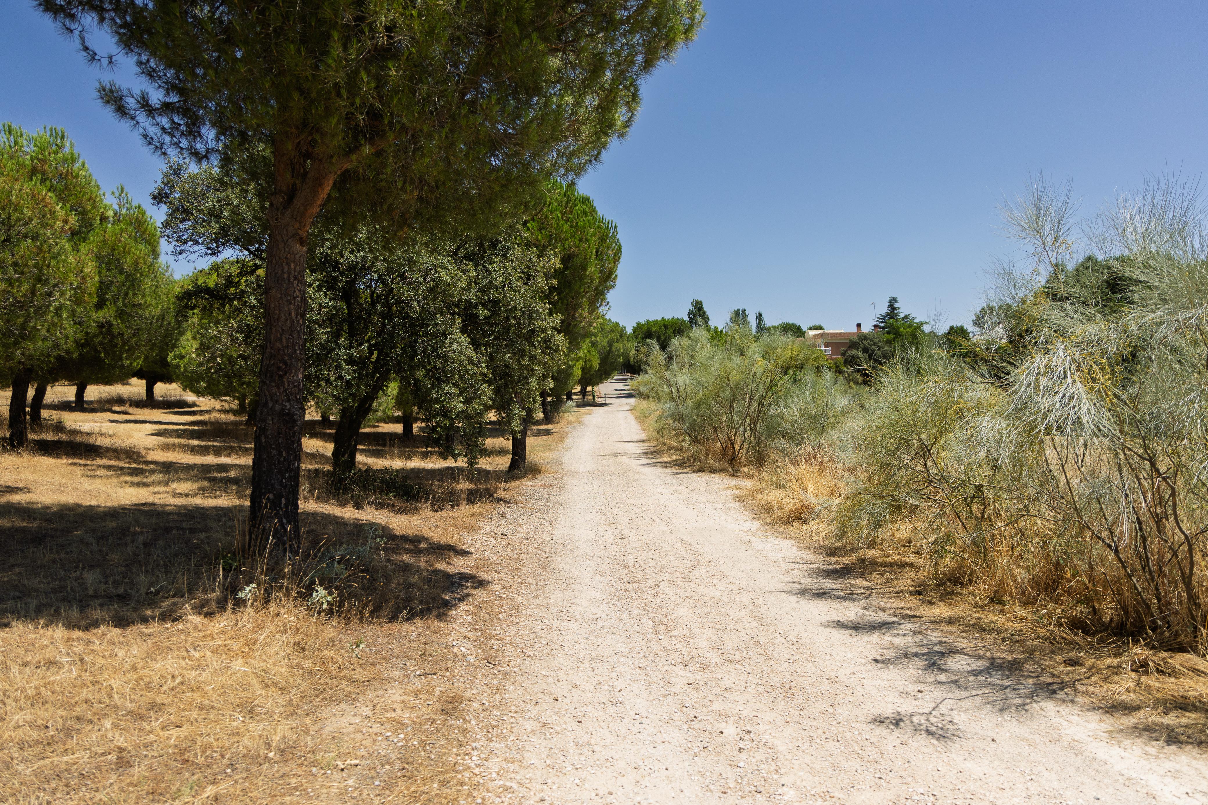 Texto Alternativo: Boadilla licita la construcción y reforma de 11 kilómetros de sendas y carril bici
