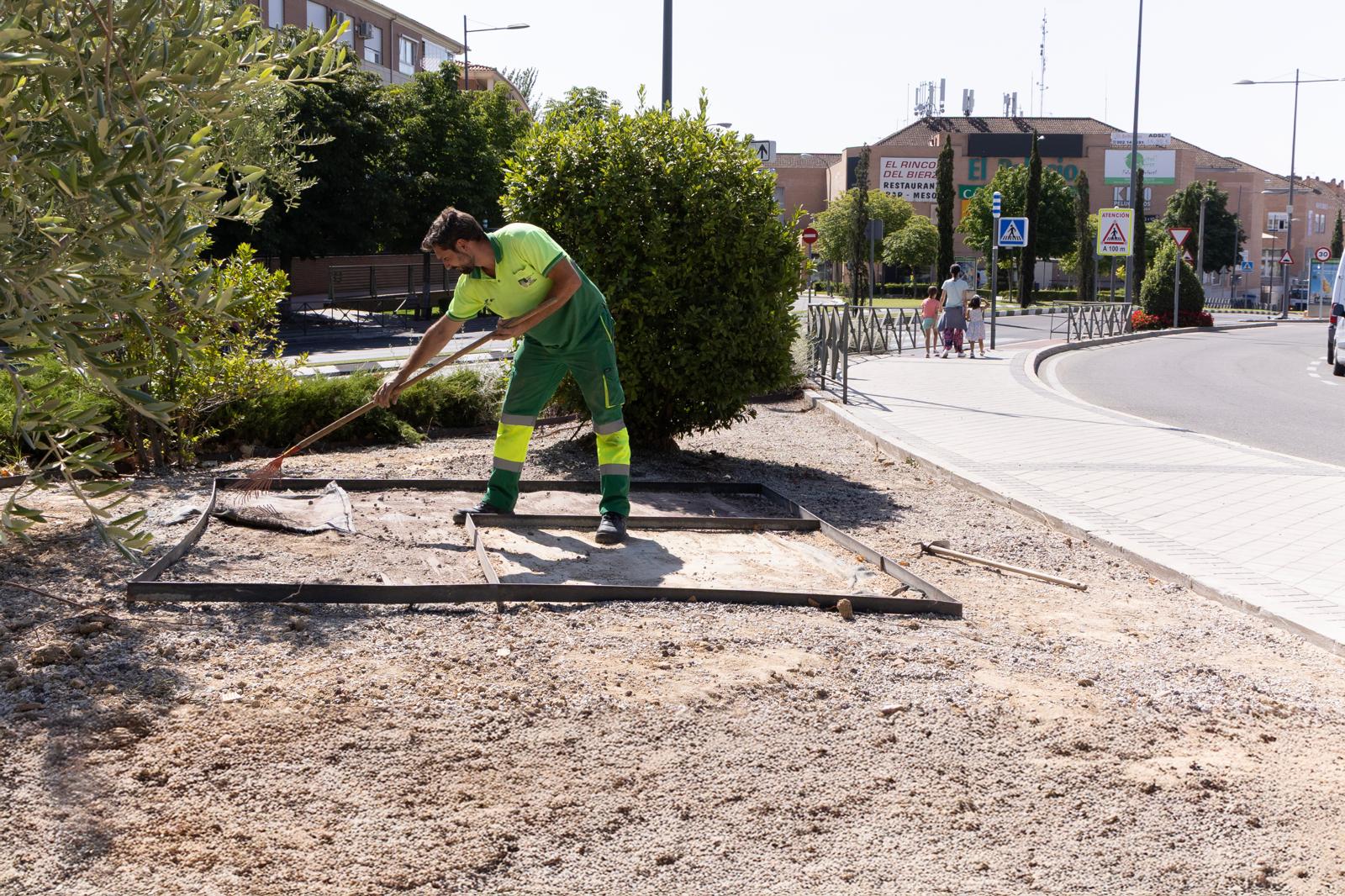 Texto Alternativo: El Ayuntamiento mejora las medianas entre carretera de Majadahonda y el jardín de olivos de la calle Isabel II