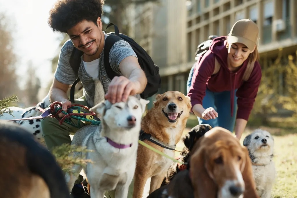 Texto Alternativo: El programa de voluntariado de Dejóvenes crece con talleres intergeneracionales de tecnología, apoyo social a personas con enfermedad mental y cuidado animal