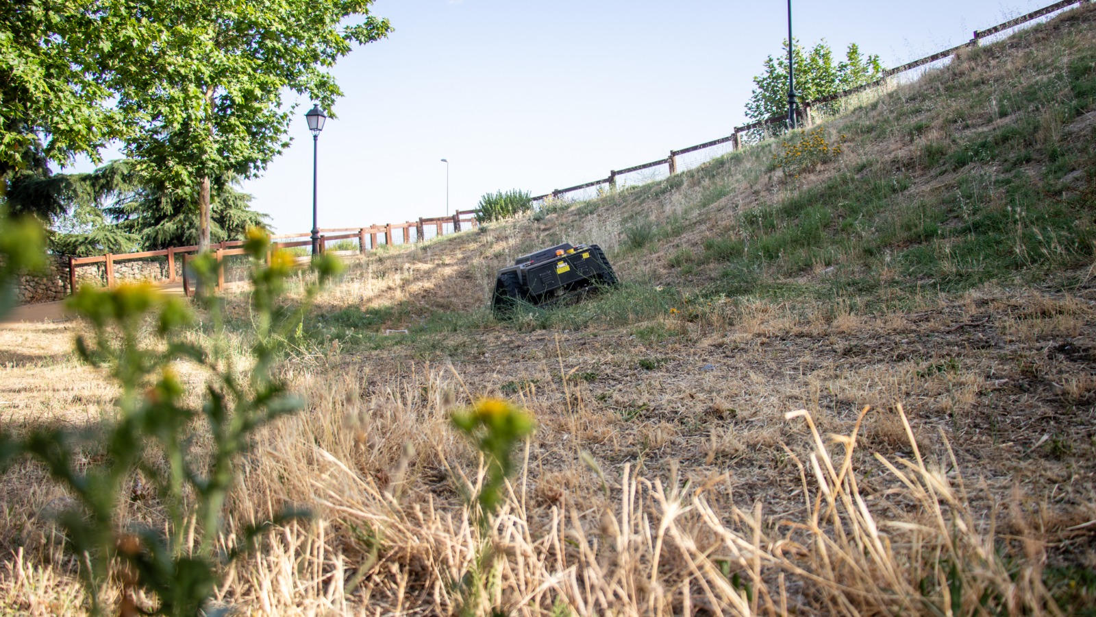 Texto Alternativo: El Ayuntamiento está desbrozando y limpiando más de 400 hectáreas de zonas verdes y parcelas municipales